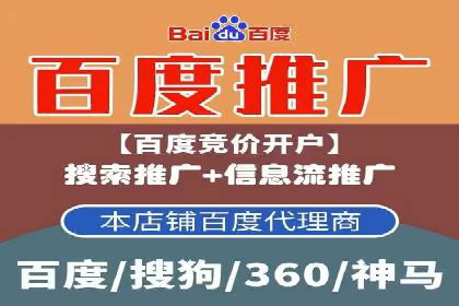SEM代运营经典案例解析与启示